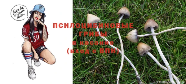 jwh Гусиноозёрск